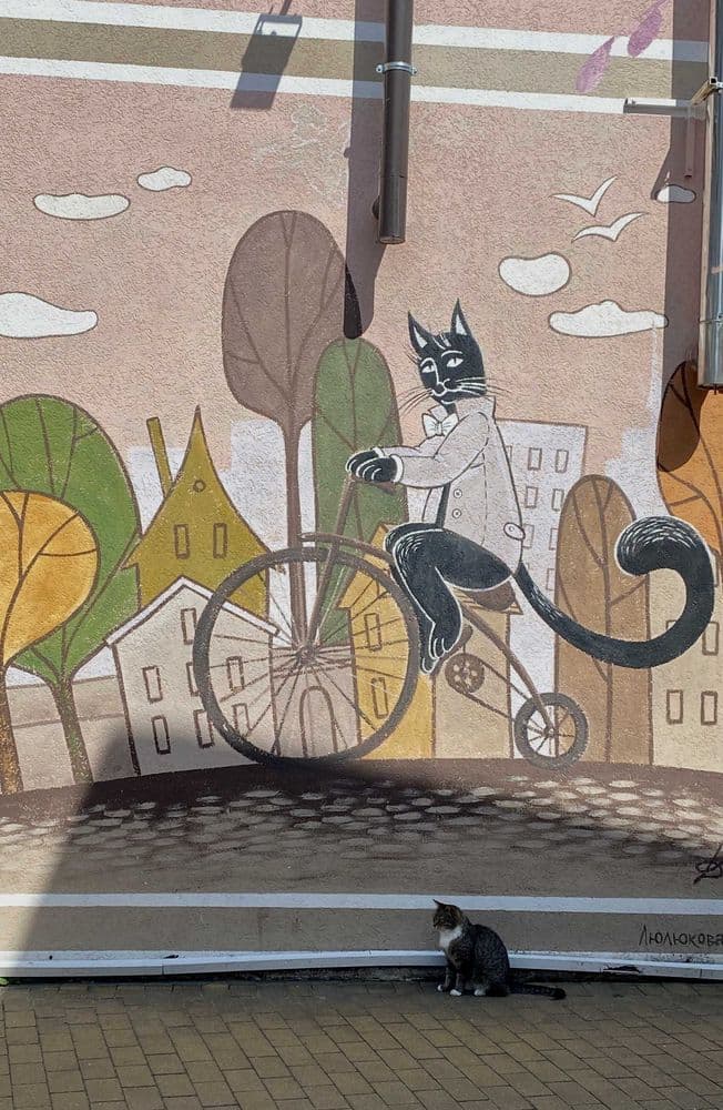 Город Зеленоградск  - фото 1