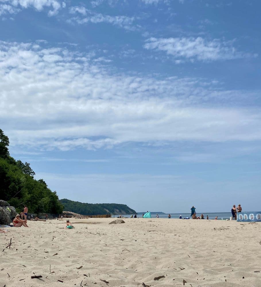 Город Светлогорск  - фото 2