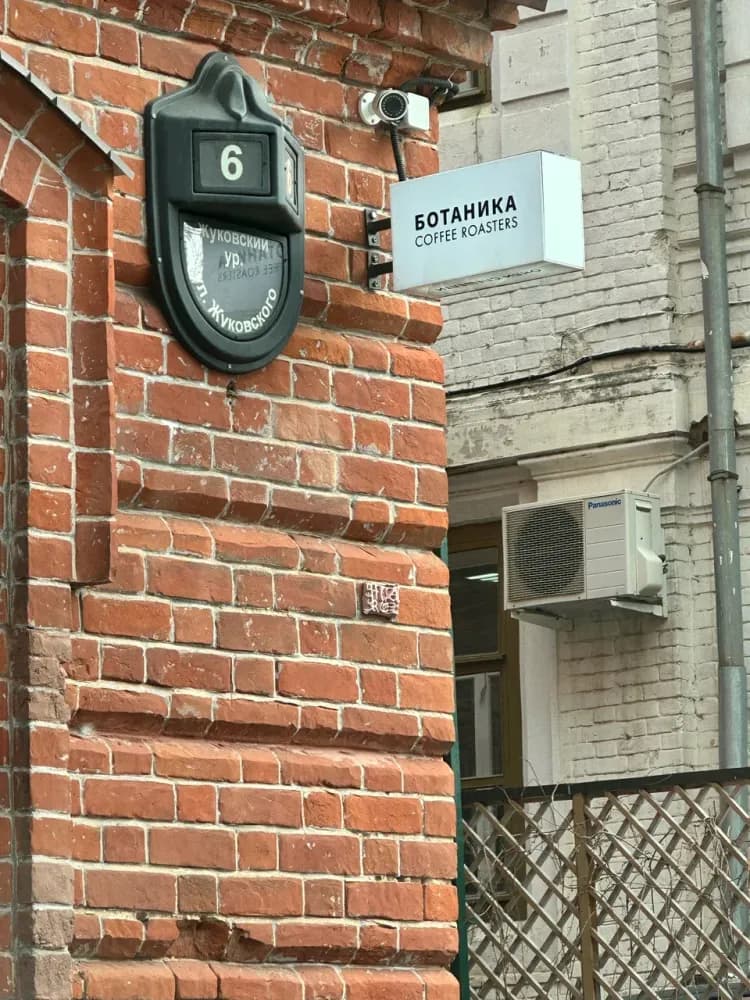 Ботаника - фото 1