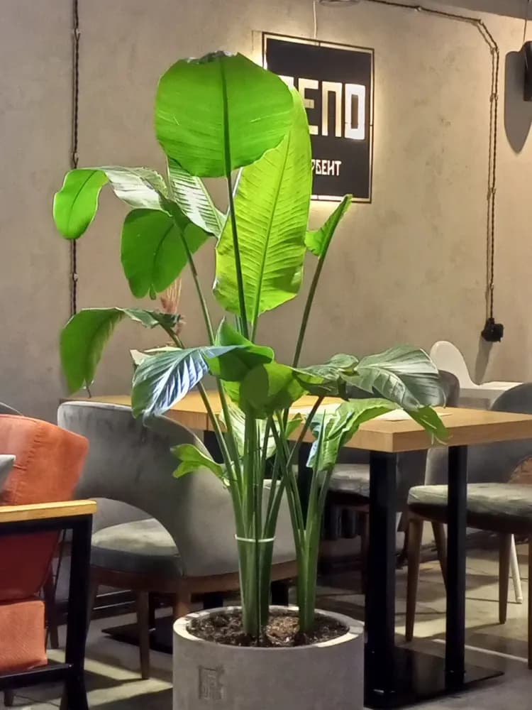 Депо - фото 2