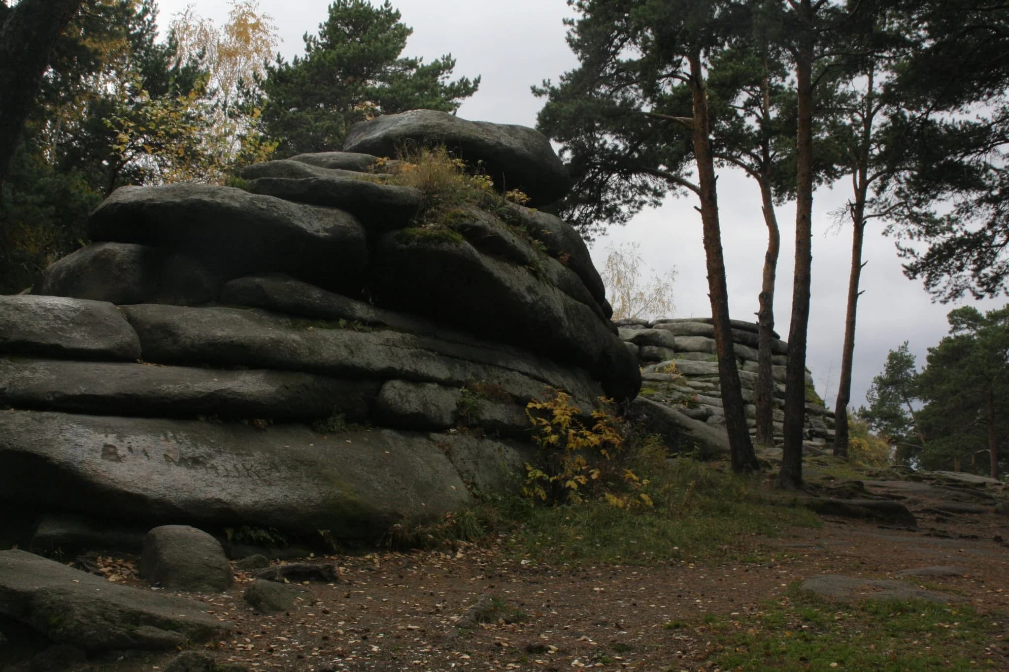 На природу - фото 2