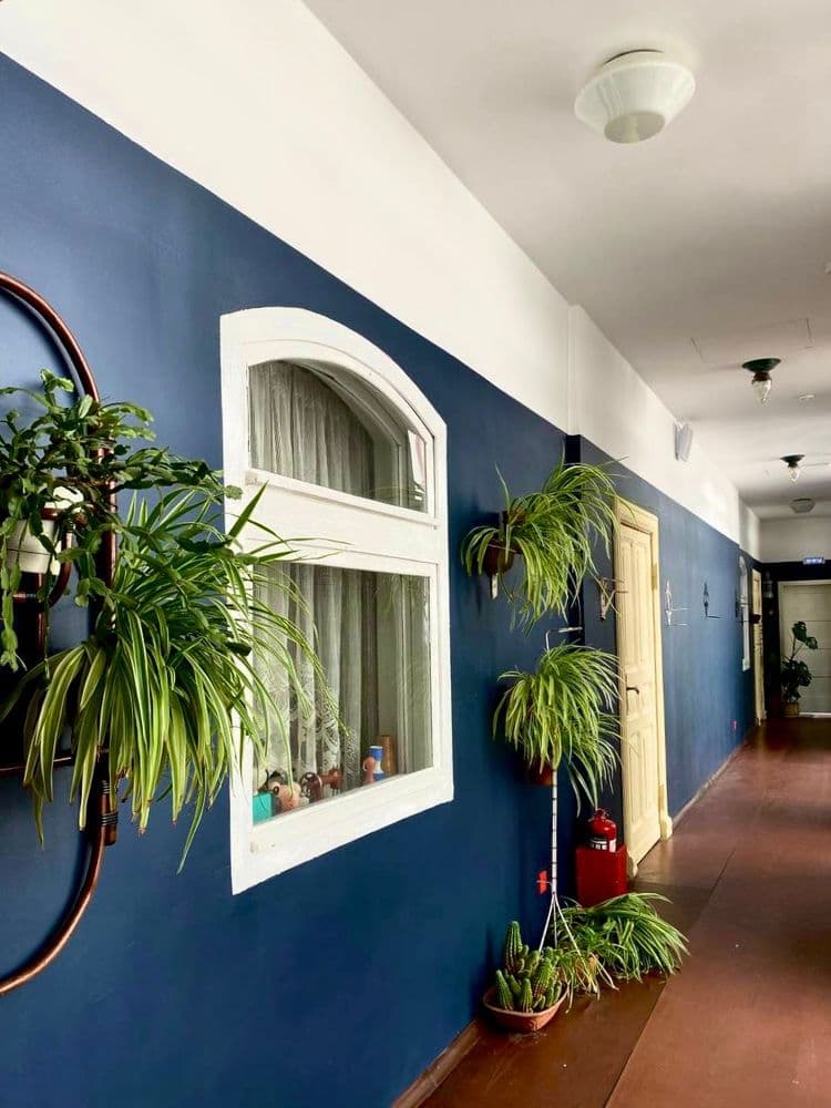 Дом Китобоя - фото 4