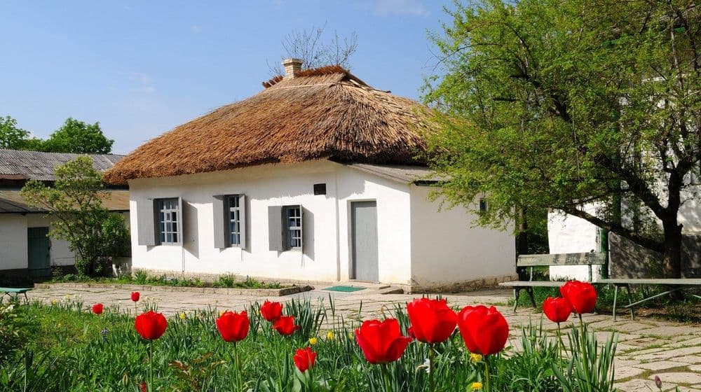 История - фото 1